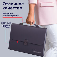 Папка-портфель пластиковая BRAUBERG А4 (327&times;254&times;30 мм), 13 отделений, серая, 221438