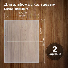 Листы-вкладыши для альбома &laquo;OPTIMA&raquo; на 2 боны (купюры), КОМПЛЕКТ 10 шт., 200&times;250 мм, ПВХ, STAFF, 238081