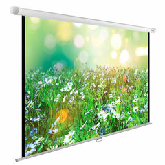 Экран Cactus WallExpert CS-PSWE-200&times;200-WT, 200&times;200 см, 1:1, настенно-потолочный, белый