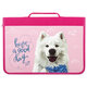 Samoyed