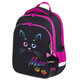 Black cat