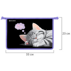 Папка для труда на молнии BRAUBERG А4, 2 отделения, органайзер, &laquo;Sleeping kitten&raquo;, 273401