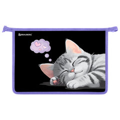 Папка для труда на молнии BRAUBERG А4, 2 отделения, органайзер, &laquo;Sleeping kitten&raquo;, 273401