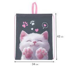 Мешок для обуви BRAUBERG KIDS, с петлей, 42&times;34 см, &laquo;Purr cat&raquo;, 274640