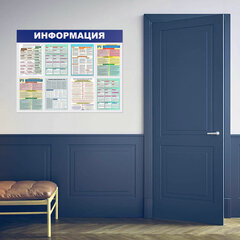 Доска-стенд &laquo;Информация&raquo; 99&times;78 см, 8 плоских карманов формата А4, BRAUBERG, 291015