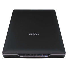 Сканер планшетный EPSON Perfection V19 А4, 10,4 сек, 4800&times;4800