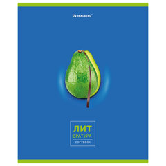 Тетрадь предметная &laquo;AVOCADO&raquo; 48 л., глянцевый лак, ЛИТЕРАТУРА, линия, подсказ, BRAUBERG, 404281
