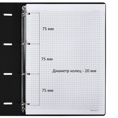 Тетрадь на кольцах БОЛЬШАЯ А4 (240&times;310 мм), 120 л., под кожу, BRAUBERG VISTA, &laquo;Пастельная&raquo;, 404514