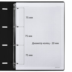 Тетрадь на кольцах БОЛЬШАЯ А4 (240&times;310 мм), 120 л., под кожу, BRAUBERG VISTA, &laquo;Туман&raquo;, 404515