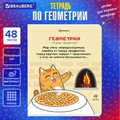 Тетрадь предметная &laquo;КОТ-ЭНТУЗИАСТ&raquo; 48 л., TWIN-лак, ГЕОМЕТРИЯ, клетка, подсказ, BRAUBERG, 404561
