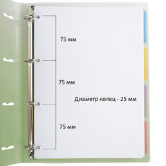 Тетрадь на кольцах БОЛЬШАЯ 305&times;235 мм А4, 120 л., пластик, с разделителями, BRAUBERG, Зеленый, 404625