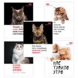 Тетрадь А5 48 л., HATBER скоба, клетка, обложка картон, "Котоюмор" (микс в спайке), 079790