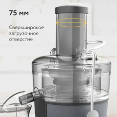 Соковыжималка BQ (БИ-КЬЮ) J1008, 1200 Вт, стакан 1,1 л, емкость жмыха 0,9 л, металл, серый