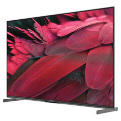 Телевизор SKYWORTH 55X85G, 55" (140 см), QD-Mini LED, 3840&times;2160, 4K, 16:9, Google TV, Wi-Fi, караоке, черный