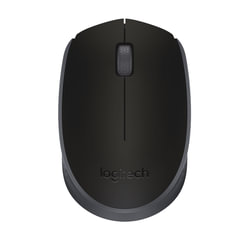 Мышь беспроводная LOGITECH M171, 2 кнопки + 1 колесо-кнопка, оптическая, черная