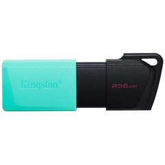Флеш-диск 256GB KINGSTON DataTraveler Exodia M, разъем USB 3.2, черный/<wbr/>зеленый, DTXM/<wbr/>256GB