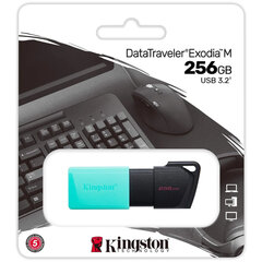 Флеш-диск 256GB KINGSTON DataTraveler Exodia M, разъем USB 3.2, черный/<wbr/>зеленый, DTXM/<wbr/>256GB
