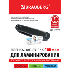 Пленки-заготовки для ламинирования МАЛОГО ФОРМАТА (65&times;95 мм), КОМПЛЕКТ 100 шт., 100 мкм, BRAUBERG, 530903
