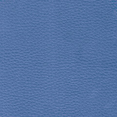 Кресло мягкое &laquo;Норд&raquo;, &laquo;V-700&raquo;, 820&times;720&times;730 мм, c подлокотниками, экокожа, голубое