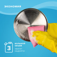 Средство для чистки плит, духовок, грилей от жира/<wbr/>нагара 3 л, АНТИЖИР LAIMA, 601614