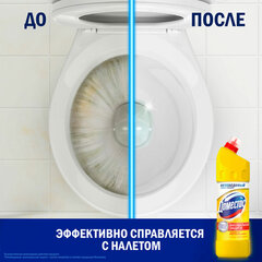 Чистящее средство 1 л, ДОМЕСТОС &laquo;Лимонная свежесть&raquo;, с отбеливающим эффектом