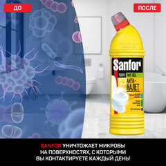 Средство для уборки туалета 1 кг, SANFOR WC gel (Санфор гель) &laquo;Лимонный фреш&raquo;
