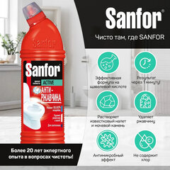 Чистящее средство 750 г, SANFOR Activ (Санфор Актив) &laquo;Антиржавчина&raquo;, гель