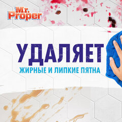 Средство для мытья пола и стен 1 л, MR.PROPER (Мистер Пропер), &laquo;Горный ручей и прохлада&raquo;