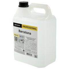 Антисептик для рук и поверхностей бесспиртовой 5 л PRO-BRITE BARCELONA, жидкость