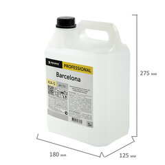 Антисептик для рук и поверхностей бесспиртовой 5 л PRO-BRITE BARCELONA, жидкость