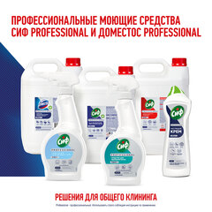 Чистящее средство 5 л ДОМЕСТОС с антивирусным и отбеливающим эффектом &laquo;Свежесть Атлантики&raquo;