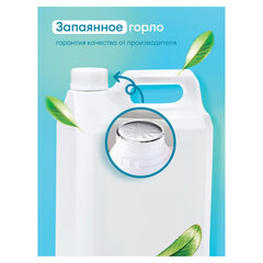 Средство для кухни, чистки плит, духовок, грилей от жира/<wbr/>нагара 5,6 кг GRASS AZELIT