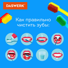 Зубные щетки, набор 4 штуки, для взрослых и детей, СРЕДНЕ-МЯГКИЕ (MEDIUM SOFT), DASWERK (ДАСВЕРК), 608213