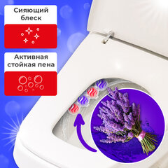 Туалетный блок шарики для унитаза освежитель, 2 блока по 50 г, &laquo;Свежесть Лаванды 3 в 1&raquo;, LAIMA, 608993