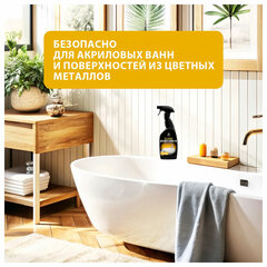 Средство для чистки сантехники кислотное 600 мл, GRASS GLOSS PROFESSIONAL, триггер