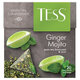 Ginger Mojito