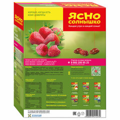 Каша овсяная ЯСНО СОЛНЫШКО Ассорти с клубникой, малиной и изюмом, 270 г