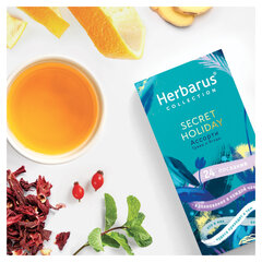 Чай HERBARUS &laquo;Secret Holiday&raquo; ассорти 4 вкуса, 24 пакетика в конвертах