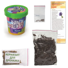 Набор для выращивания растений ВЫРАСТИ ДЕРЕВО! &laquo;Лаванда&raquo; (банка, грунт, семена), zk-030