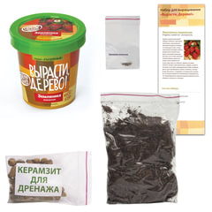 Набор для выращивания растений ВЫРАСТИ ДЕРЕВО! &laquo;Земляника ананасная&raquo; (банка, грунт, семена), zk-038