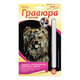Йоркширский терьер