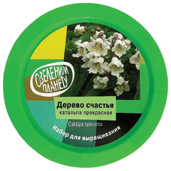 Набор для выращивания растений ВЫРАСТИ ДЕРЕВО! &laquo;Дерево счастья Катальпа&raquo; (банка, грунт, семена), zk-068