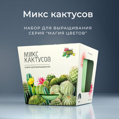 Набор для выращивания растений МАГИЯ ЦВЕТОВ &laquo;Кактусы микс&raquo; (горшок, грунт, семена), mf-003
