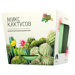 Набор для выращивания растений МАГИЯ ЦВЕТОВ &laquo;Кактусы микс&raquo; (горшок, грунт, семена), mf-003