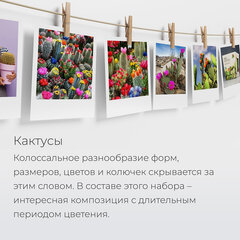 Набор для выращивания растений МАГИЯ ЦВЕТОВ &laquo;Кактусы микс&raquo; (горшок, грунт, семена), mf-003