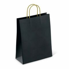 Крафт-пакет бумажный &laquo;Black&raquo; 26&times;15&times;35 см, с кручеными ручками, плотность 80 г/<wbr/>м<sup>2</sup>, моноцвет, 112429