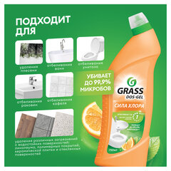 Средство для уборки сантехники и туалета дезинфицирующее 750 мл GRASS DOS-GEL &laquo;Сила цитрусов&raquo;