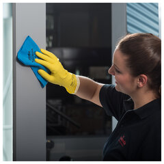 Салфетки VILEDA PROFESSIONAL &laquo;МикронКвик&raquo; КОМПЛЕКТ 5 шт., микроволокно, синий, 38&times;40 см, 170635