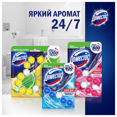 Блок туалетный подвесной твердый 2&times;55 г, ДОМЕСТОС Сила 5 в 1 &laquo;Ледяная магнолия&raquo;