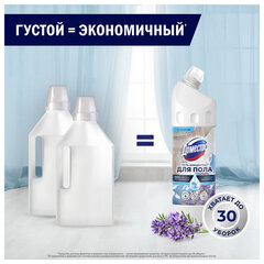 Средство для мытья пола и других поверхностей 1 л, ДОМЕСТОС &laquo;Горная свежесть&raquo;, гель-концентрат